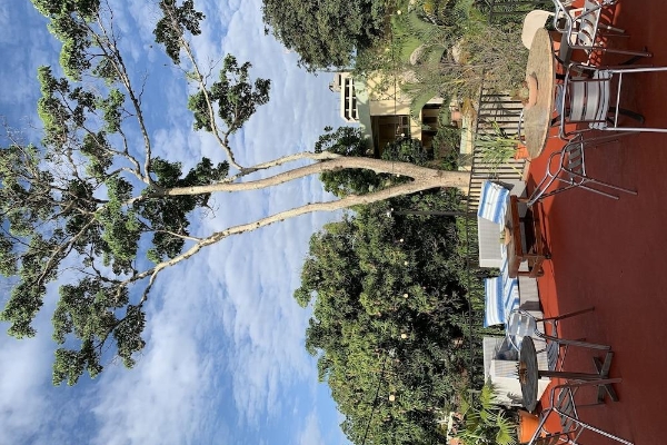 Palmira Hostel (Tegucigalpa)